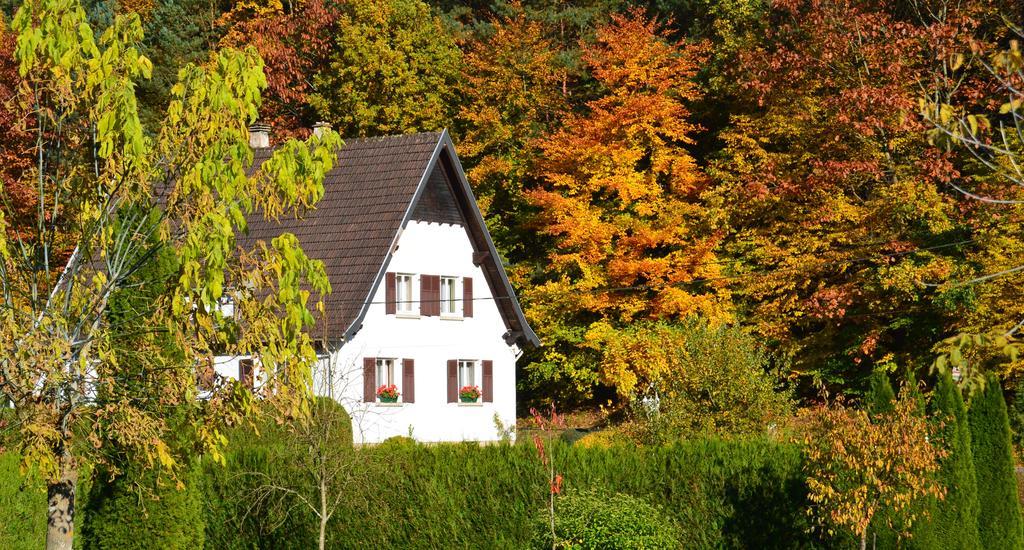Le Gite De L'Ecureuil Sturzelbronn Zewnętrze zdjęcie