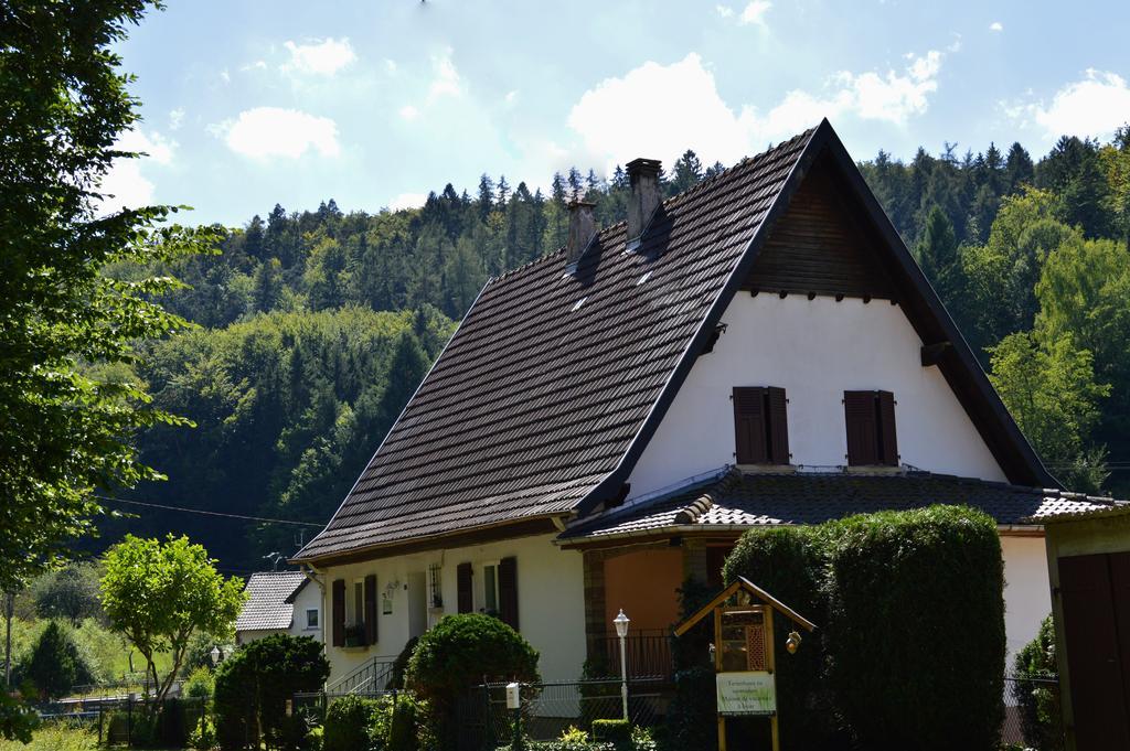 Le Gite De L'Ecureuil Sturzelbronn Zewnętrze zdjęcie