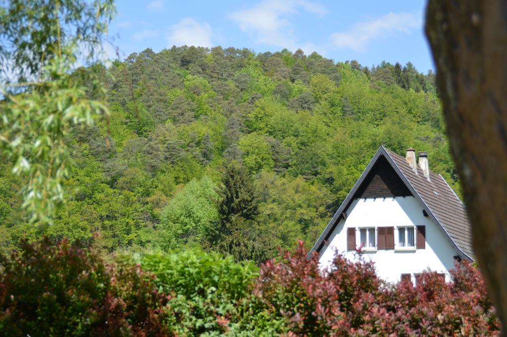 Le Gite De L'Ecureuil Sturzelbronn Zewnętrze zdjęcie
