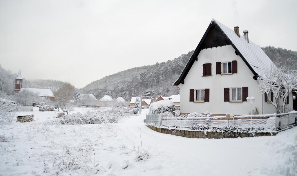 Le Gite De L'Ecureuil Sturzelbronn Zewnętrze zdjęcie