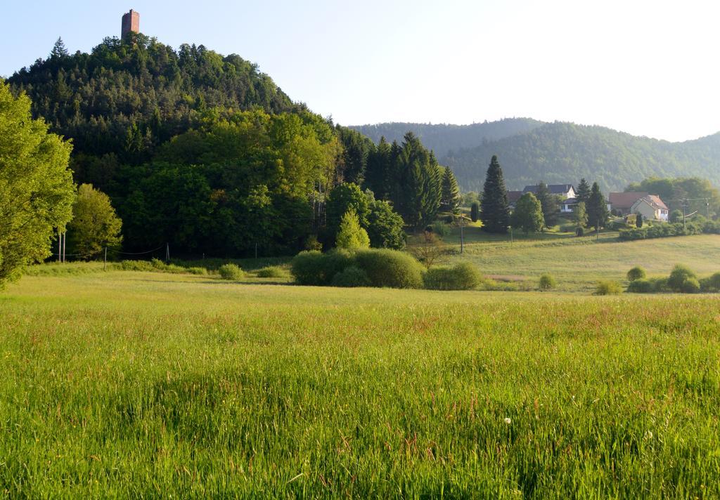 Le Gite De L'Ecureuil Sturzelbronn Zewnętrze zdjęcie