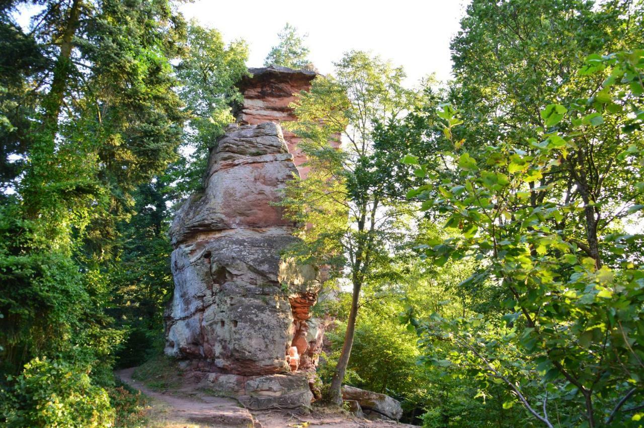 Le Gite De L'Ecureuil Sturzelbronn Zewnętrze zdjęcie